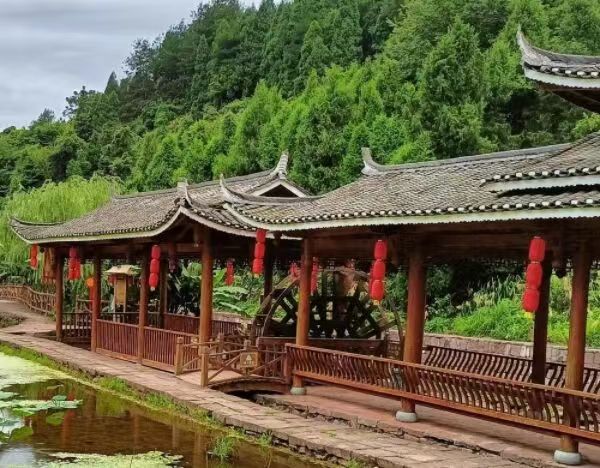 ���ώ���W�������l��ӣ�����Ə���m ������顱���ڌ��`�F������Ϫ���_չ�����{�л�Ӽ��ְl�{�醖��