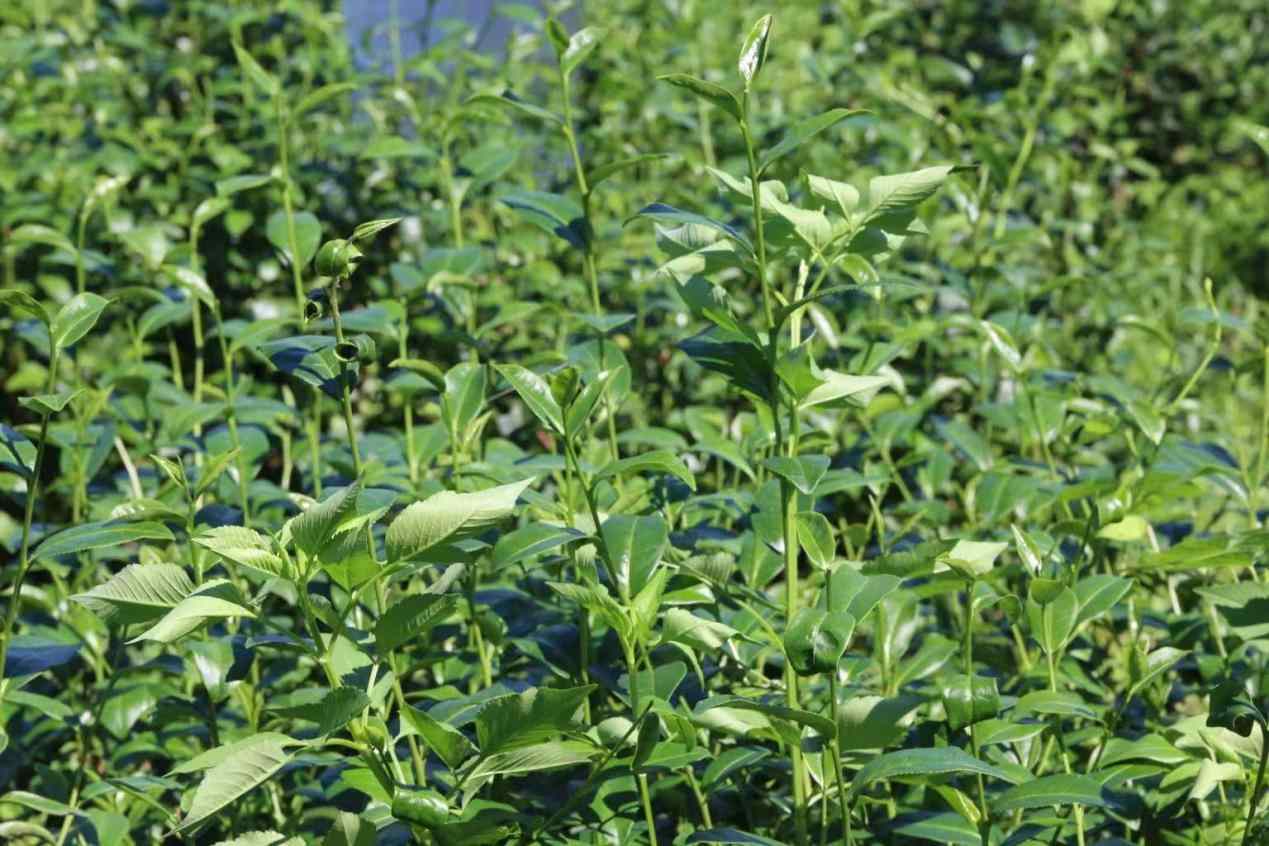 �X���W��̽�������Ļ������d��ؕ�I��������