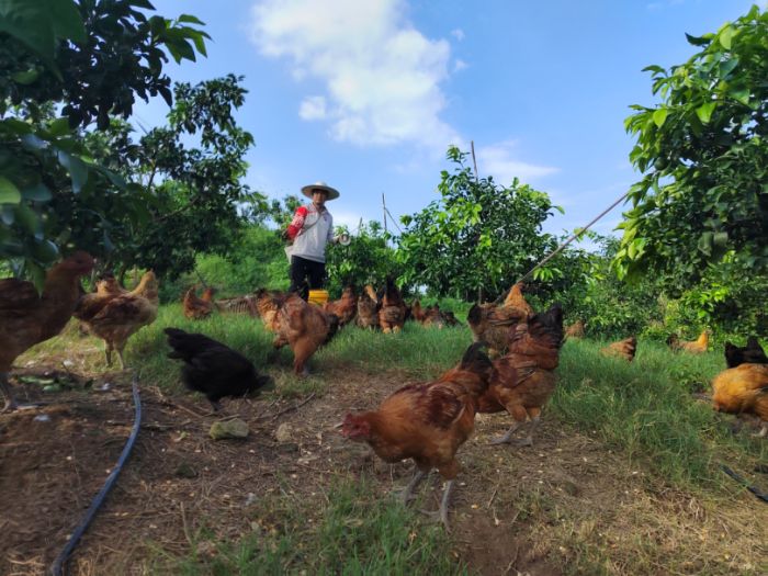 ��������𡰼��Y̖������W����������ָ�]��Ⱥ�u���Ƽ��x�����r��