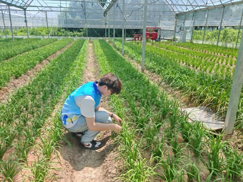 �����WԺ��ͬ��悼����҉�"�ǅR�r�I�����l��"�ǻ��r�I�lչ�{�ЈF--�_չ�߲˴����{�л��