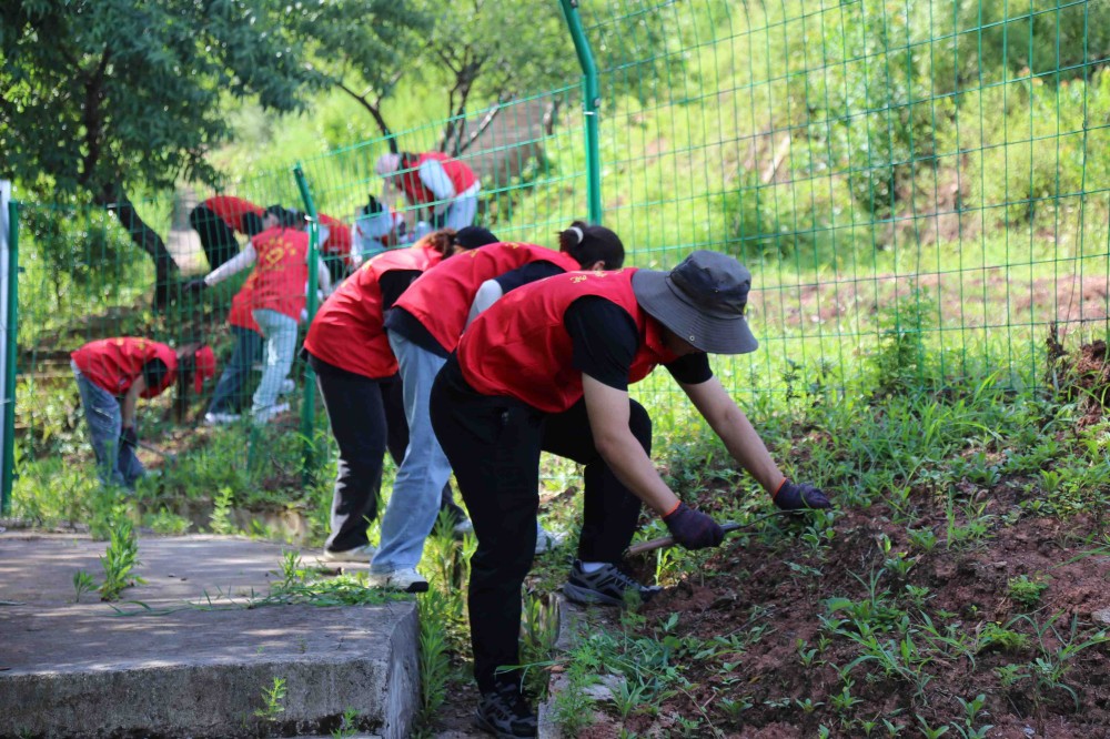 ���DƬ�ģ�