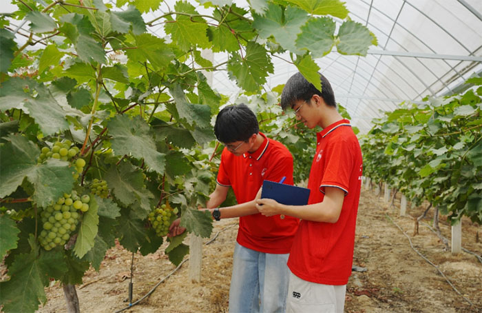 ���Ѽ���Ԓ���d У���\��ƪ�¡����Ϸʹ��I��W���W�c�����WԺ�W�r֧�r���`�o��