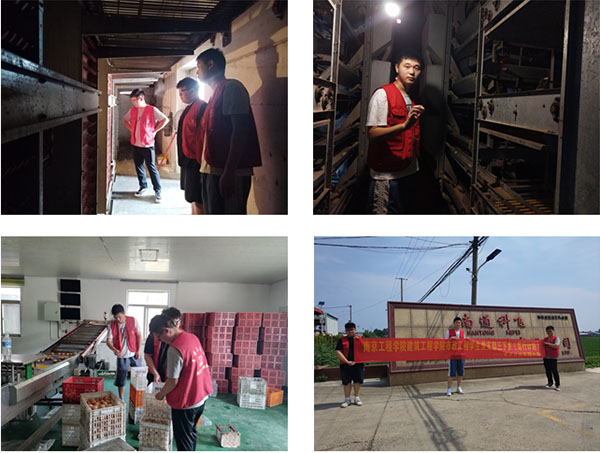 2023���ڡ������l(xi��ng)��������`||�����r(n��ng)��l(f��)չ���s�m(x��)