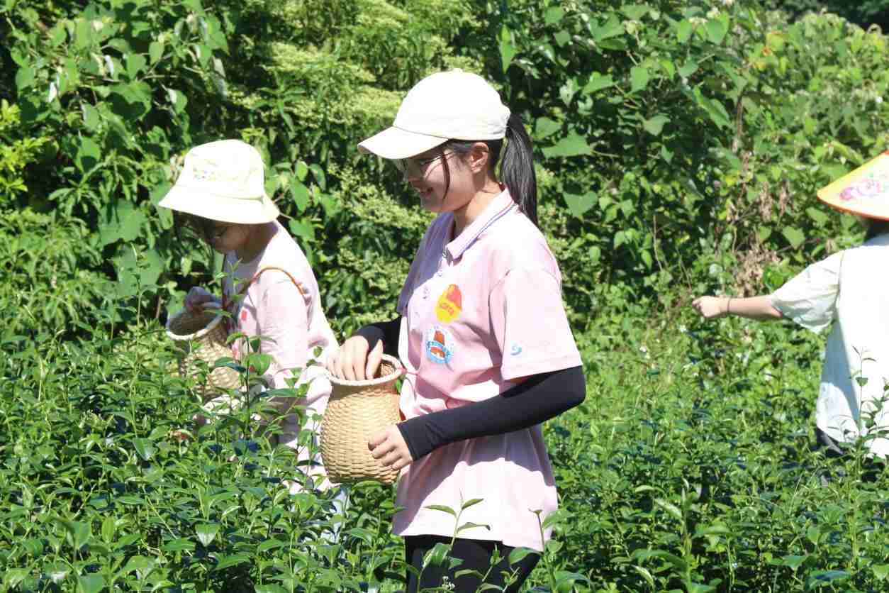 ע�ഺ֮�����r���d�l�塪���X���������ڷ��l���`�{��