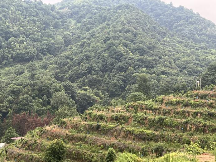 �������D(zhu��n)�����d�������h���̰l(f��)չ