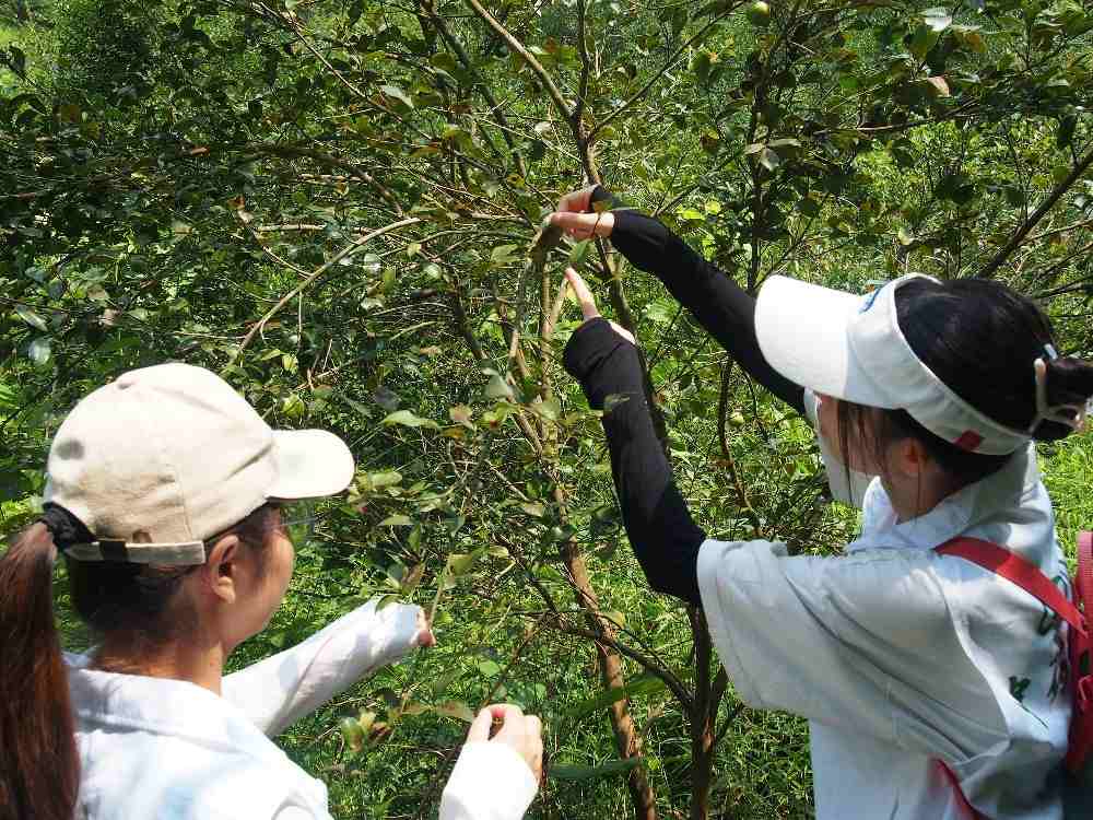 �V�|�W�������l���`�o�����ഺ�����l�����d��ֱ����؛�����r�aƷ�N��