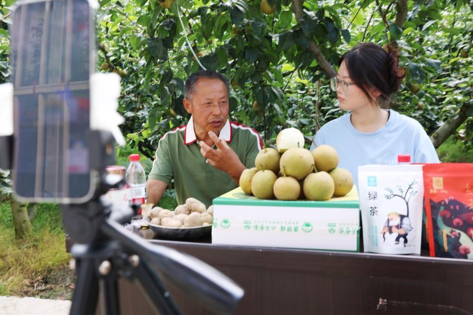 ���`�F�ɆT�c����ѩ�愓ʼ�����t�ɣ�����ֱ�����v��ѩ��Nֲ����