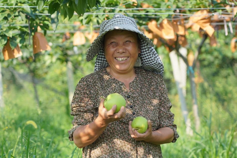 ���`�F�ɆTӛ䛹��r�S�Ո���