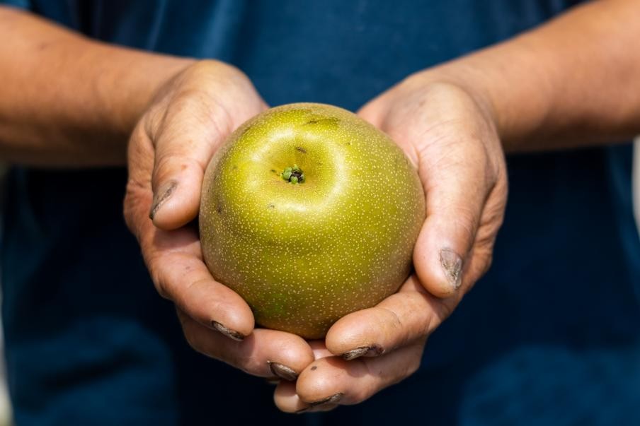 ��ѩ��֮�������t����������ѩ�棨�Wͨ��ӛ�� ܇���� �z��