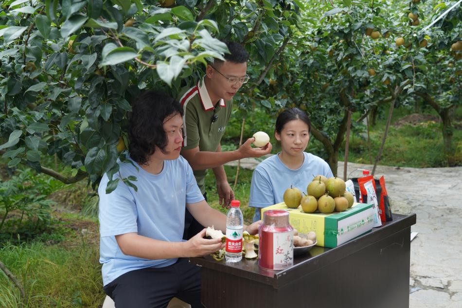 ���`�F�ɆT�c����ѩ�����ؓ؟���ˆ����У���ֱ���g�v��ѩ�����