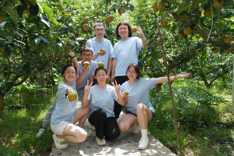 ���`�F�ɆT������ѩ��@�к�Ӱ