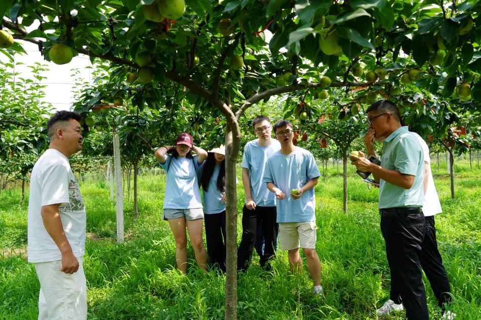 ���`�F�ɆT ����ѩ��f�����L����ƽ����һ����Bѩ��