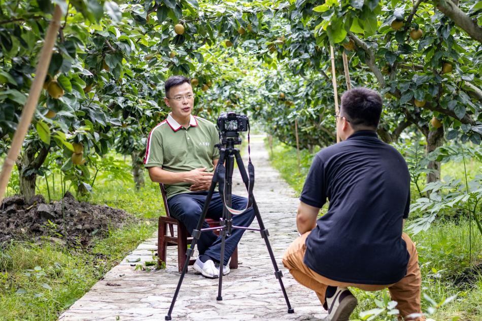 ���`�F�ɆT�Ĕz΢�o�Ƭ�����ڰ����п���䡷�^����