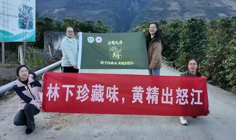 ��������һ������ؔ����W"�Ɨ�����"�{��꠸�ŭ���{���S���a�I|���ഺ�ǻ��x���l�����d