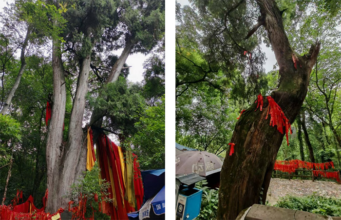 �Ĵ�������W�쌎У�^���{�{���־Ըꠡ������Ř��{��ƪ|��a���¹Ř䣬׌�ഺ�m�����oƪ��