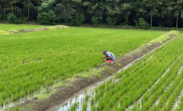 ��Ӌ�WԺ�������ּ�ӛ���F������{�����ִ�